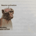 19 Neuron Activation Memes to Trigger Your Instant Dopamine Rush