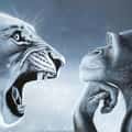 14+ Lion Yelling At Monkey Memes: The Best Templates for Unilateral Emotional Output