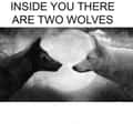 17 Times The "Two Wolves Inside You" Meme Got Replaced By Chaotic Internal Screaming