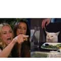 17 "Woman Yelling At A Cat" Variations For When You’re Done With Everyone’s Drama