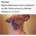 Dog Memes