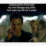Dog Memes