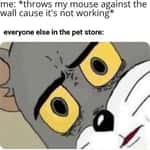 Staring Memes