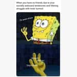 SpongeBob SquarePants Memes
