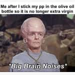 Brain Memes