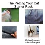 Cat Memes