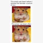 Thumbs Up Memes