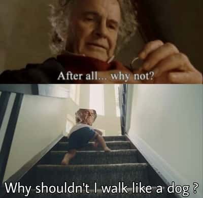 Random Memes