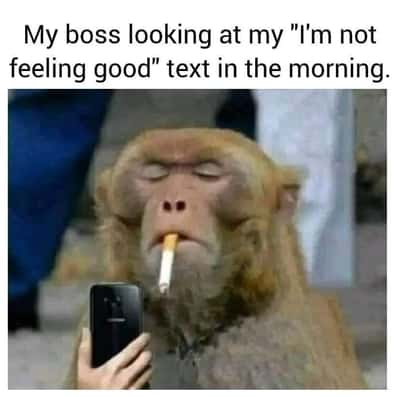Random Memes