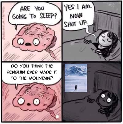 Random Memes