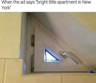 Random Memes