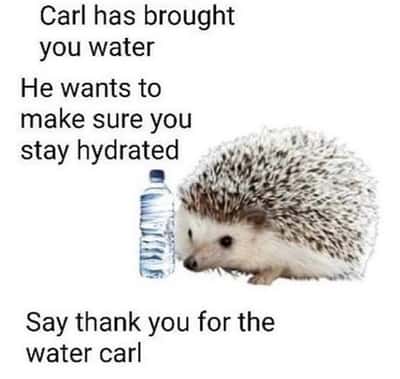 Random Memes