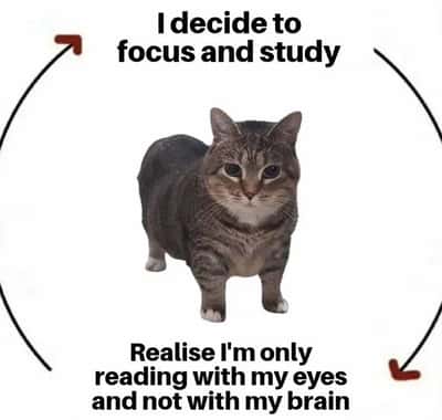 Random Memes
