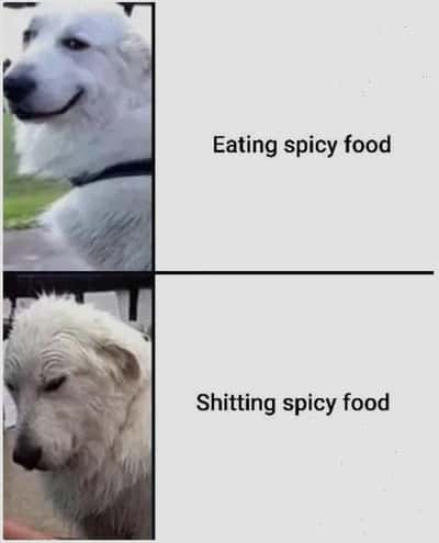 Random Memes