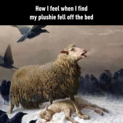 Random Memes