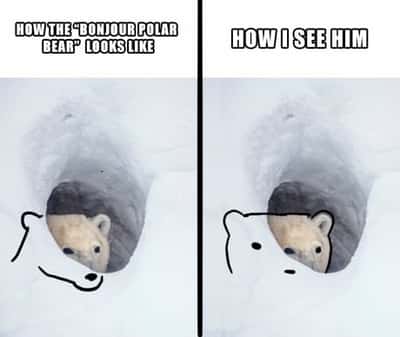 Random Memes