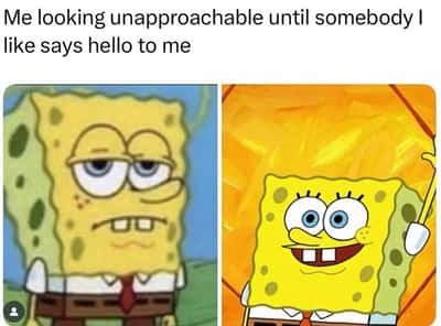 Random Memes