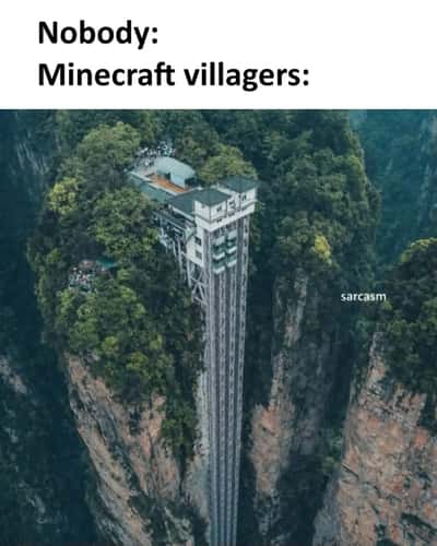 Random Memes