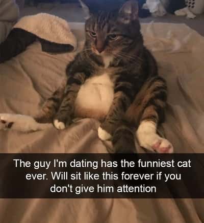 Random Memes
