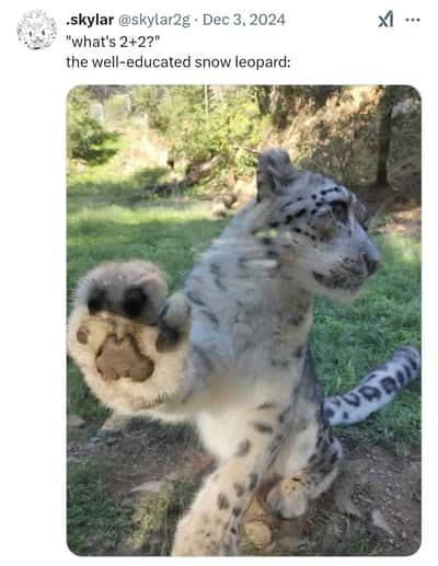Random Memes