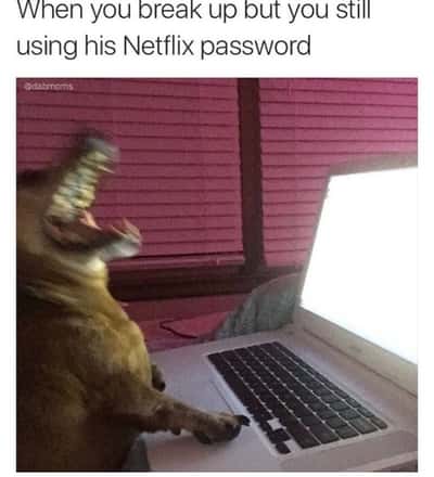 Random Memes