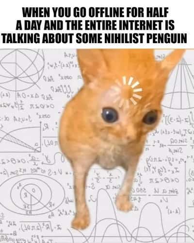 Random Memes
