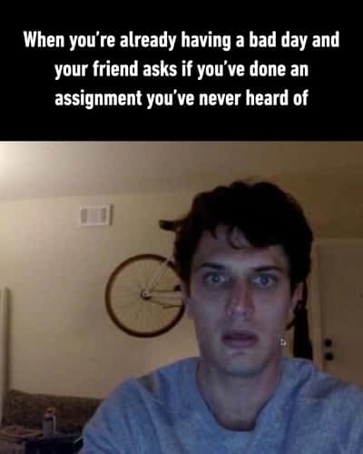 Random Memes