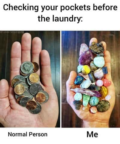 Random Memes