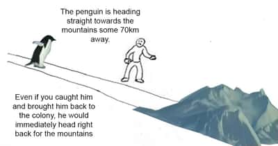 Random Memes