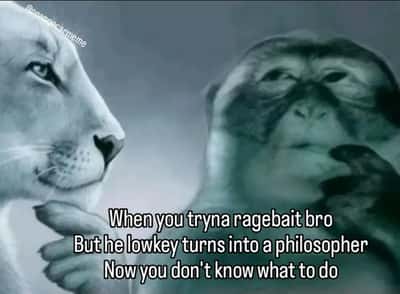 Lion yelling at monkey meme trying to ragebait bro becomes philosopher