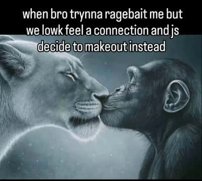 Lion yelling at monkey meme make out instead of ragebait