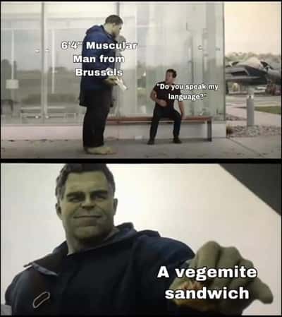 Hulk taco meme answers do you speak my language