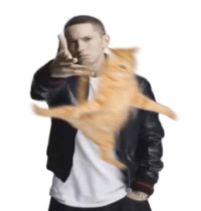 Eminem throwing motion blurred flying orange cat meme pointing straight at you