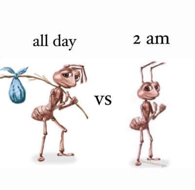 Random Memes