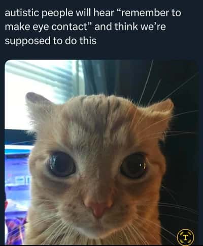 Random Memes