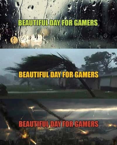 Random Memes