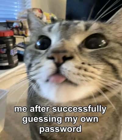 Random Memes