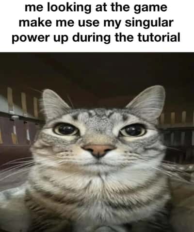 Random Memes