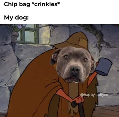 Random Memes