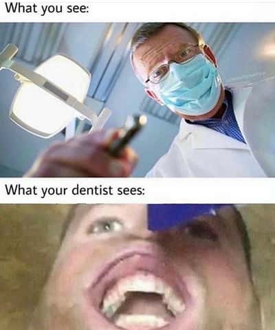 Random Memes