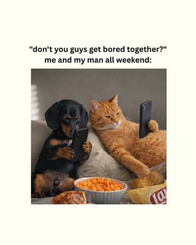 Random Memes