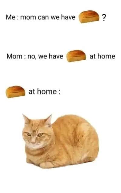 Random Memes