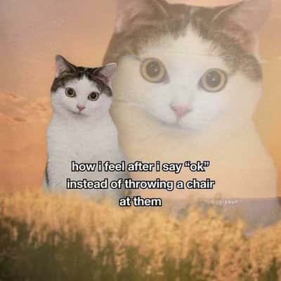 Random Memes