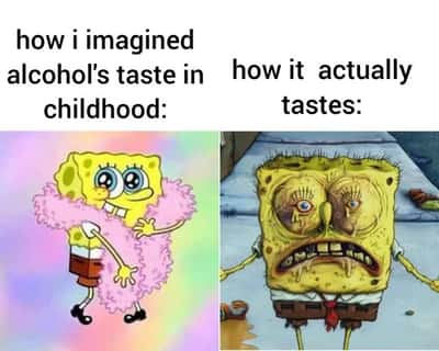 Random Memes