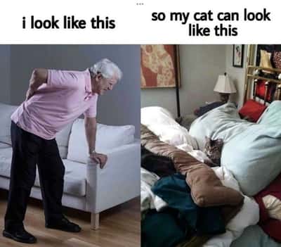 Random Memes