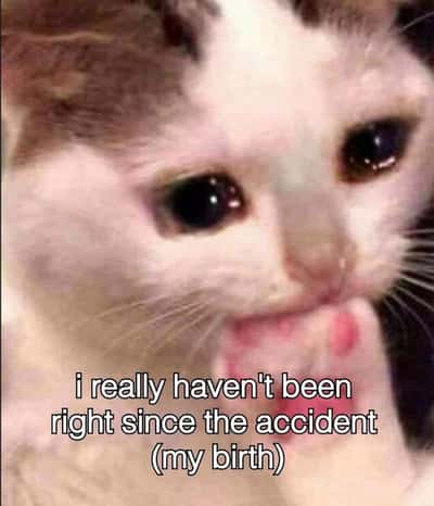 Random Memes
