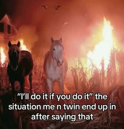 Random Memes