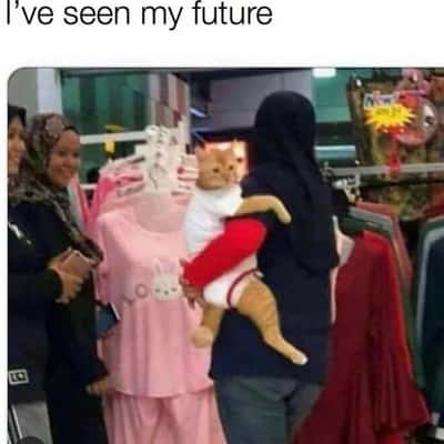 Random Memes