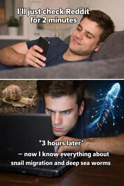 Random Memes