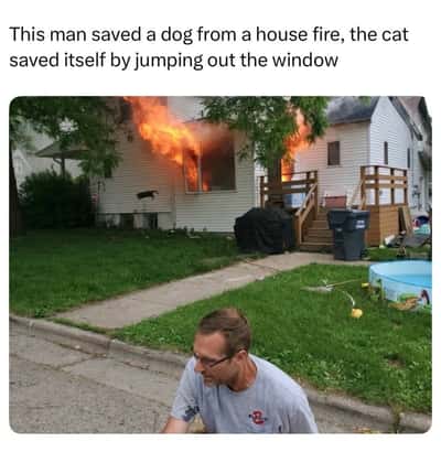 Random Memes
